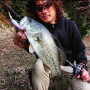 Воблер - JACKALL Soul Shad 62 DDR SP 6.8g_JACKALL