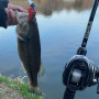 Воблер - JACKALL Mushbob 50 MR 50mm 9.5g Floating_JACKALL
