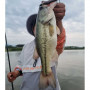 Воблер - JACKALL Riser Bait 007R 70mm 8.2g Sinking_JACKALL