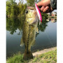 Воблер - JACKALL RV-Minnow 110SP 110mm 16.3g Suspending_JACKALL