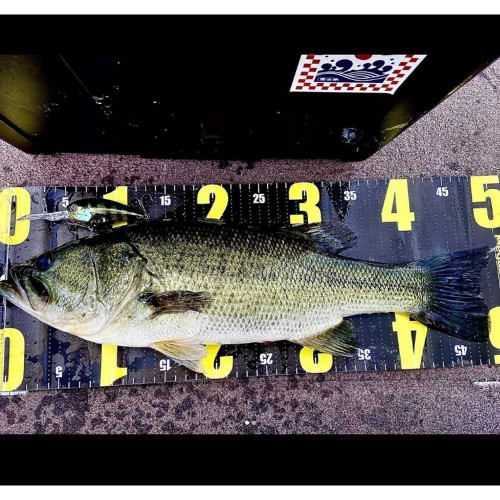 Воблер - JACKALL Digle 5+ 74mm 26.2g Floating_JACKALL