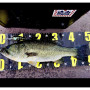 Воблер - JACKALL Digle 5+ 74mm 26.2g Floating_JACKALL