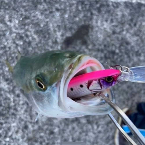 Воблер - JACKALL Big Backer Wangan Minnow 98S-LB 98mm 21g Sinking_JACKALL