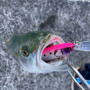 Воблер - JACKALL Big Backer Wangan Minnow 98S-LB 98mm 21g Sinking_JACKALL