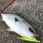 Воблер - JACKALL Big Backer Wangan Minnow 128S-LB 128mm 27.2g Sinking_JACKALL
