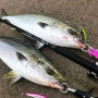 Воблер - JACKALL Big Backer Wangan Minnow 98S-LB 98mm 21g Sinking_JACKALL