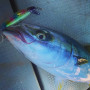 Воблер - JACKALL Big Backer Anchopeed 60mm 10.8g Sinking_JACKALL