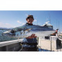 Воблер - JACKALL Big Backer Anchopeed 60mm 10.8g Sinking_JACKALL