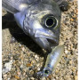 Воблер - JACKALL Mute Ball Minnow 38F 38mm 2.7g Floating_JACKALL