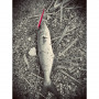 Воблер - DUO Rough Trail Hydra 220 Slow Sinking 58.2g_DUO International