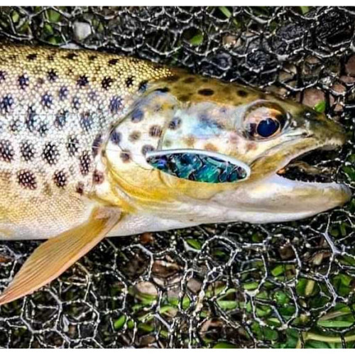 Инлайн клатушка - TROUT MASTER Inline Spoon 3 g_Trout Master