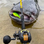 Воблер - BLACK CAT Cranker 16cm 50g_Black Cat