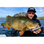 Воблер - JACKALL DowzVido 90SP 90mm 10.7g Suspend_JACKALL
