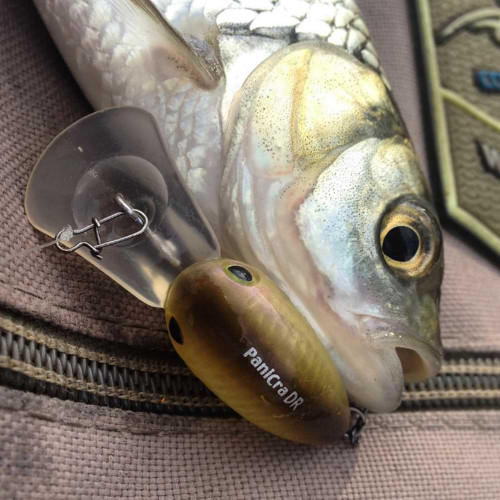 Воблер - JACKALL PaniCra SR 32mm 3g_JACKALL