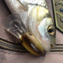 Воблер - JACKALL PaniCra SR 32mm 3g_JACKALL