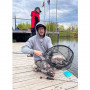 Воблер - JACKALL Chibi PaniCra DR-SS 25mm 1.6g_JACKALL