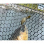 Воблер - JACKALL FlaPani 28mm 1.9g Floating_JACKALL