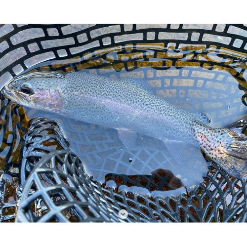 Воблер - JACKALL Prikkey 30mm 1.6g Floating_JACKALL