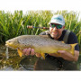 Воблер - SHIMANO Cardiff Stream Flat 50s 50mm 3.6g_SHIMANO