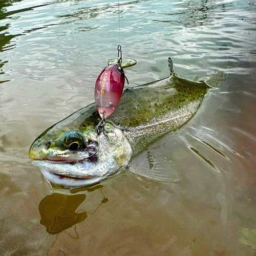 Воблер - MUKAI Komaya 26F 26mm 2g Floating_MUKAI