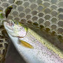 Воблер - MUKAI Pogo Smaller 28mm 2.2g Fast Sinking_MUKAI