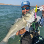 Воблер - DUO Bay Ruf Manic 115 11.5cm 16g Sinking_Duo