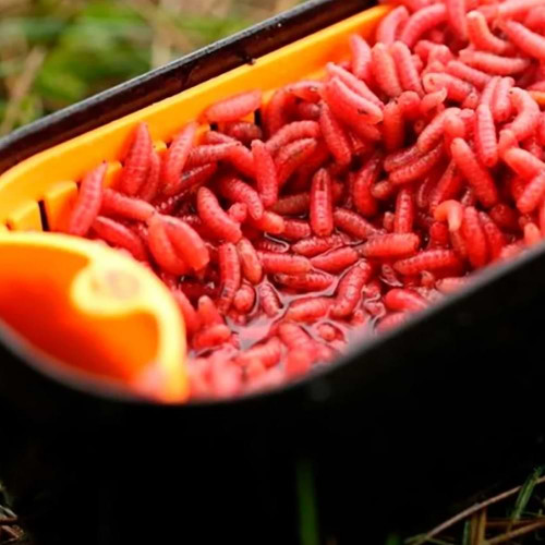 Кутия за стръв - GURU Bait Box Orange Solid 1 pint_Guru