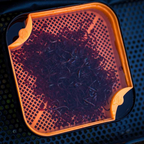 Кутия за стръв - GURU Bait Box Orange 2.2 pint_Guru