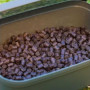 Кутия за стръв - GURU Bait Box Solid Lid (Green) 5.3 pint_Guru