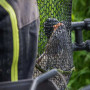 Глава за кеп - MATRIX Carp Scoop S Net 45x35cm_Matrix