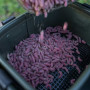 Чанта за аксесоари и стръв - KORUM EVA Bait Station_Korum