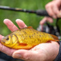 Глава за кеп - NUFISH Quick Dry-Lite Landing Net 49cm_NuFish