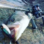 Воблер - MEGABASS Giant Dog-X SW 98mm 16.5g Floating_MEGABASS