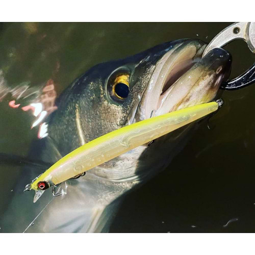 Воблер - MEGABASS X-120 120mm 11.4g Slow Floating_MEGABASS