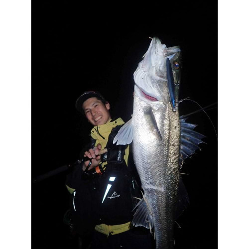 Воблер - MEGABASS Marine Gang Cookai 140S 140mm 27g Sinking_MEGABASS