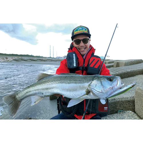 Воблер - MEGABASS Marine Gang Cookai 140S 140mm 27g Sinking_MEGABASS