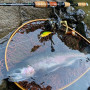 Воблер - MEGABASS Humpback GH51 51mm 5.1g Fast Sinking_MEGABASS