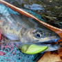Воблер - MEGABASS Humpback GH51 51mm 5.1g Fast Sinking_MEGABASS