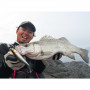 Воблер - JACKALL Big Backer FallTrick 84mm 27.7g Sinking_JACKALL