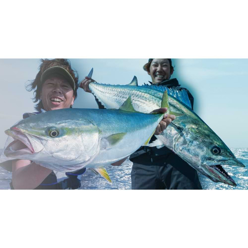 Воблер - JACKALL Big Backer Anchopeed Slimlong 120mm 35g Sinking_JACKALL