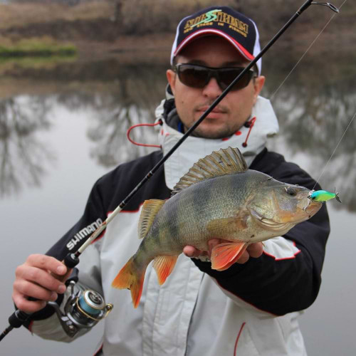 Воблер - JACKALL iProp 75 SS MARUHATA Custom 75mm 6.5g Slow Sinking_JACKALL