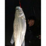 Воблер - DUO Bay Ruf Manic 155 15.5cm 27.5g Sinking_DUO International