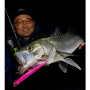 Воблер - DUO Bay Ruf Manic 155 15.5cm 27.5g Sinking_DUO International