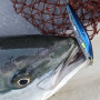 Воблер - SHIMANO Exsence Silent Assassin Flash Boost 80S 80mm 12g Sinking_SHIMANO