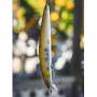 Воблер - DAIWA Salt Pro Minnow 17S 17cm 53g_Daiwa