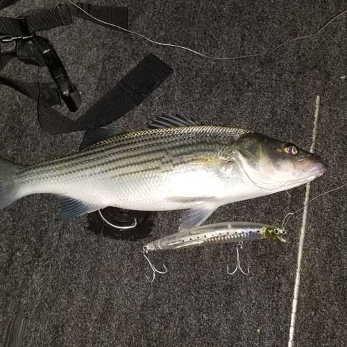 Воблер - DAIWA Salt Pro Minnow 17S 17cm 53g_Daiwa