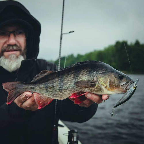 Воблер - SHIMANO Yasei Trigger Twitch SP 90mm 11g Suspending_SHIMANO