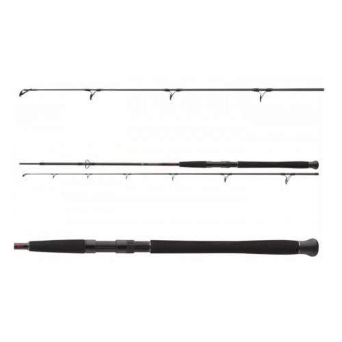 Въдици за риболов на сом DAIWA EXCELER CATFISH SPIN |_Daiwa