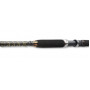 Въдица за морски риболов Daiwa BG OFFSHORE 20_Daiwa