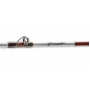 Въдица за морски риболов Daiwa TANACOM 2.10m/400-1000gr_